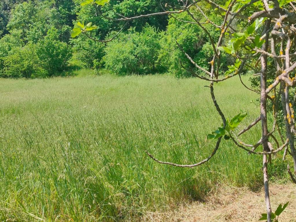 Terreno a Stimigliano in Strada Regionale Sabina - Foto 2