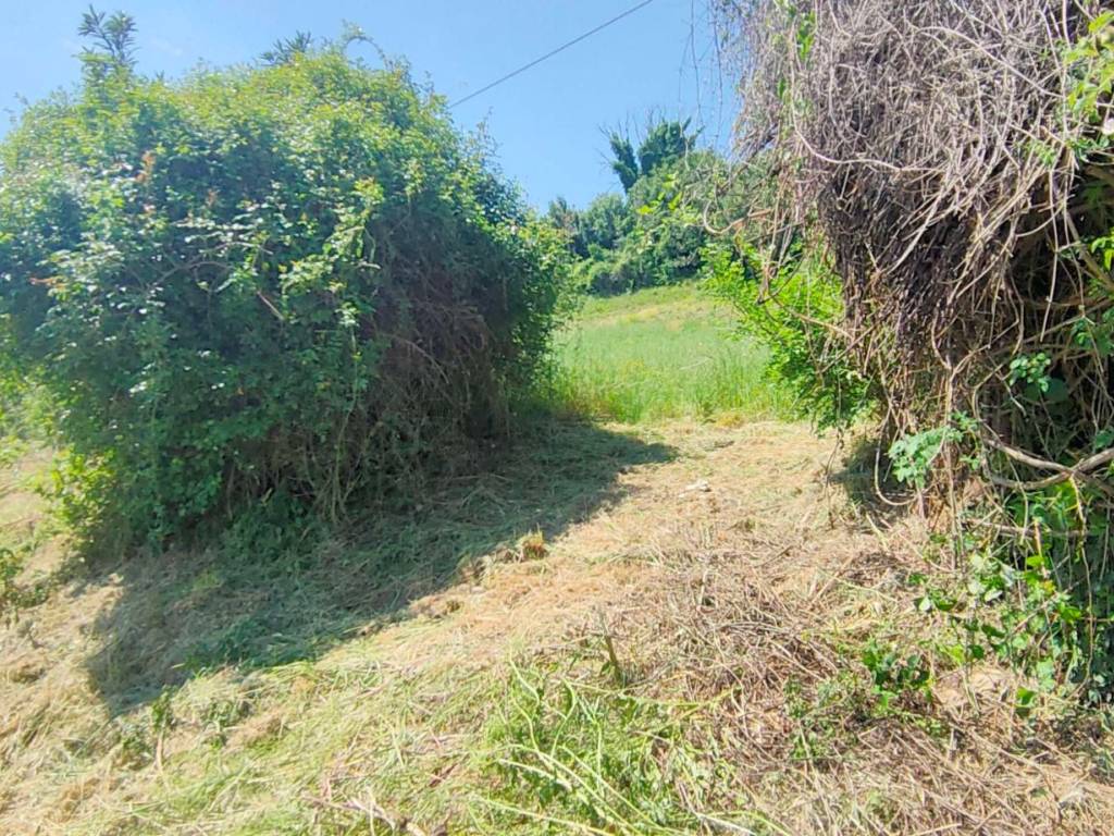 Terreno a Stimigliano in Strada Regionale Sabina - Foto 4
