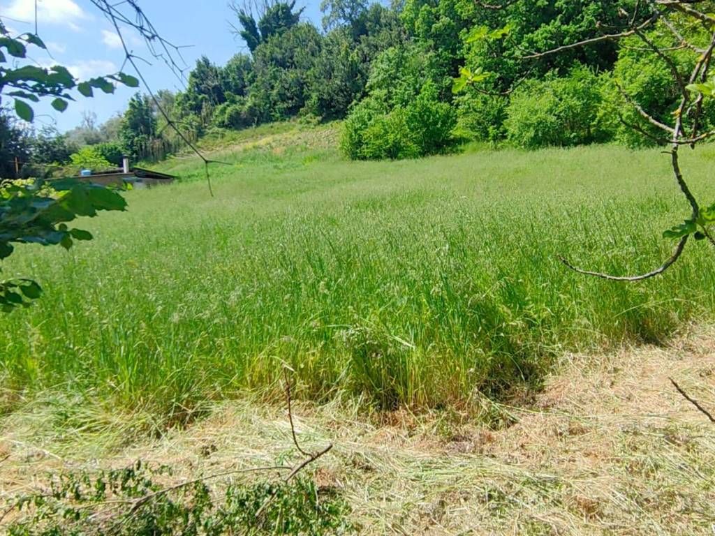 Terreno a Stimigliano in Strada Regionale Sabina - Foto 5