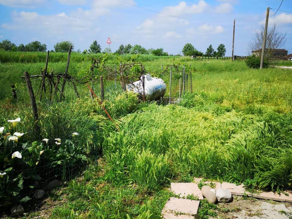 Villa a San benedetto po - Foto 5