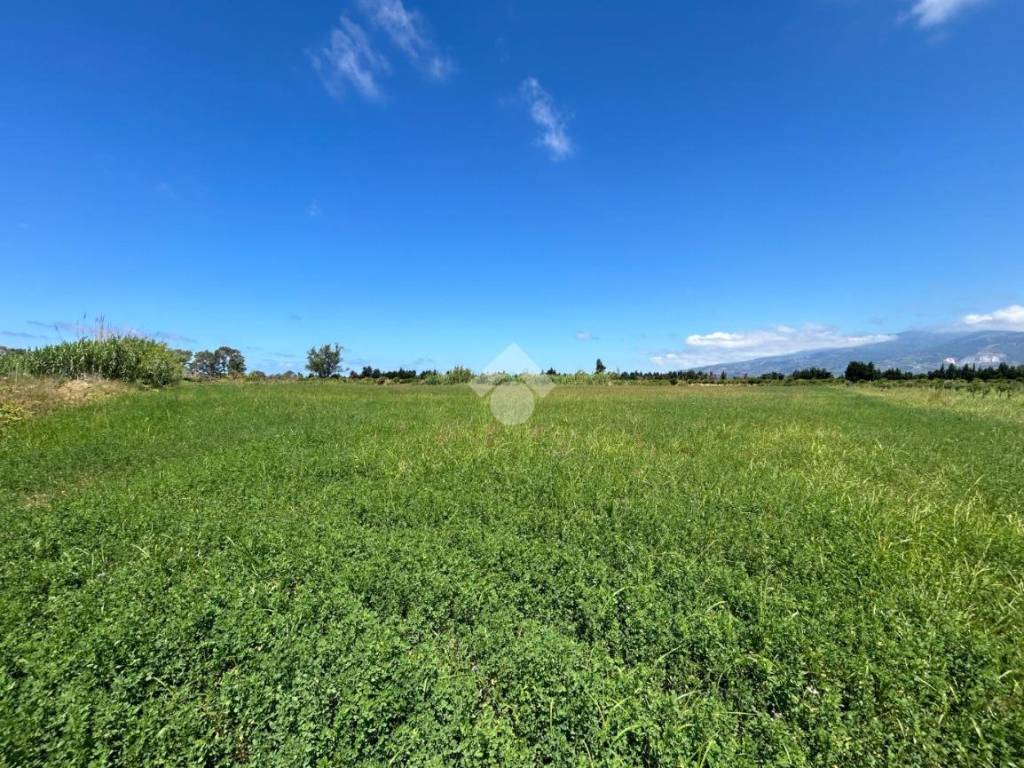 Terreno a Lamezia terme in VIA SANTA VENNERE - Foto 5