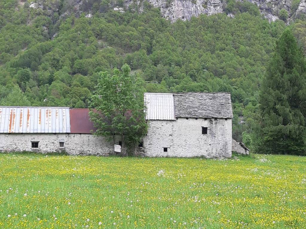 Rustico / casale a Malesco in Localita Morbo Snc - Foto 2