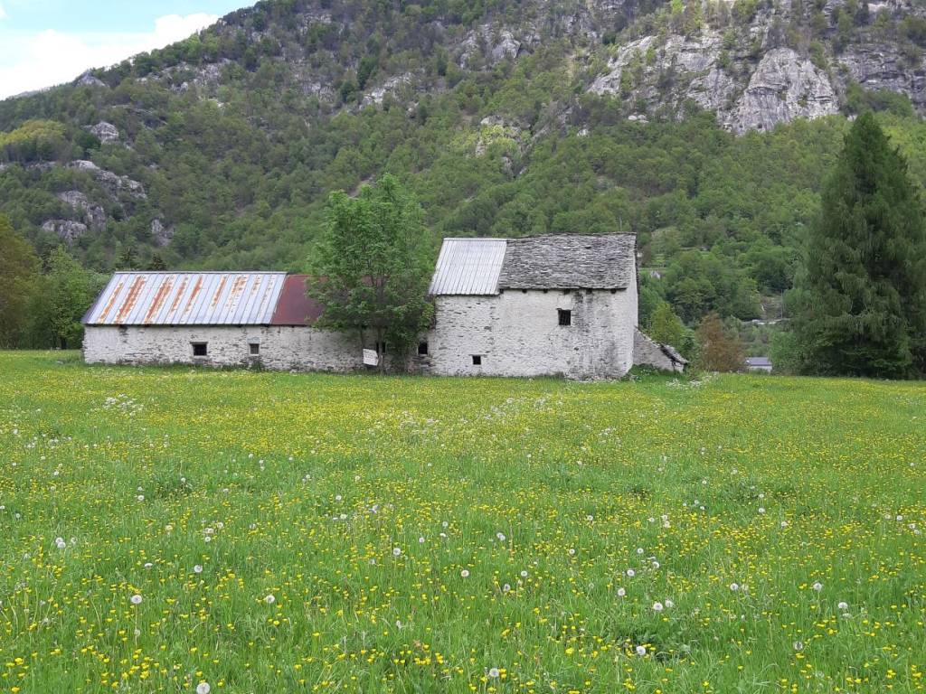 Rustico / casale a Malesco in Localita Morbo Snc - Foto 3