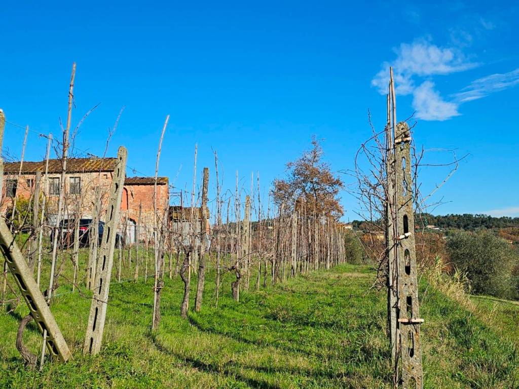 Rustico / casale a Montecarlo in Via Cercatoia Alta - Foto 3