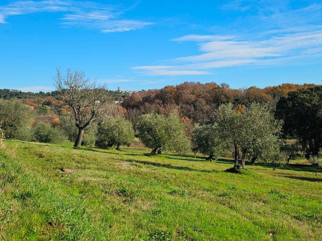 Rustico / casale a Montecarlo in Via Cercatoia Alta - Foto 4