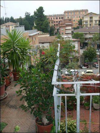 Appartamento a Jesi in Via Federico Conti, 3 - Foto 2