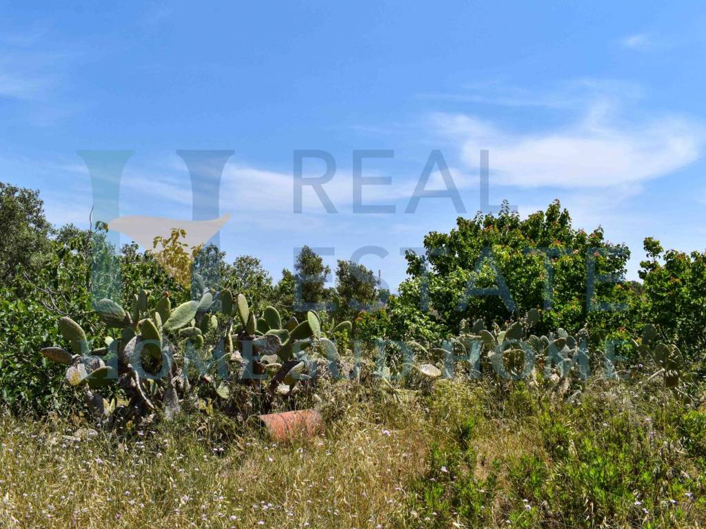Terreno a Pachino in Piazza Vittorio Emanuele - Foto 5