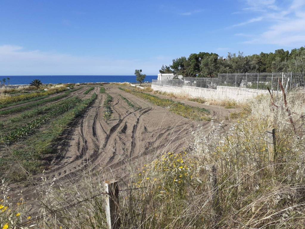 Terreno a Trani in Strada Statale Adriatica - Foto 2