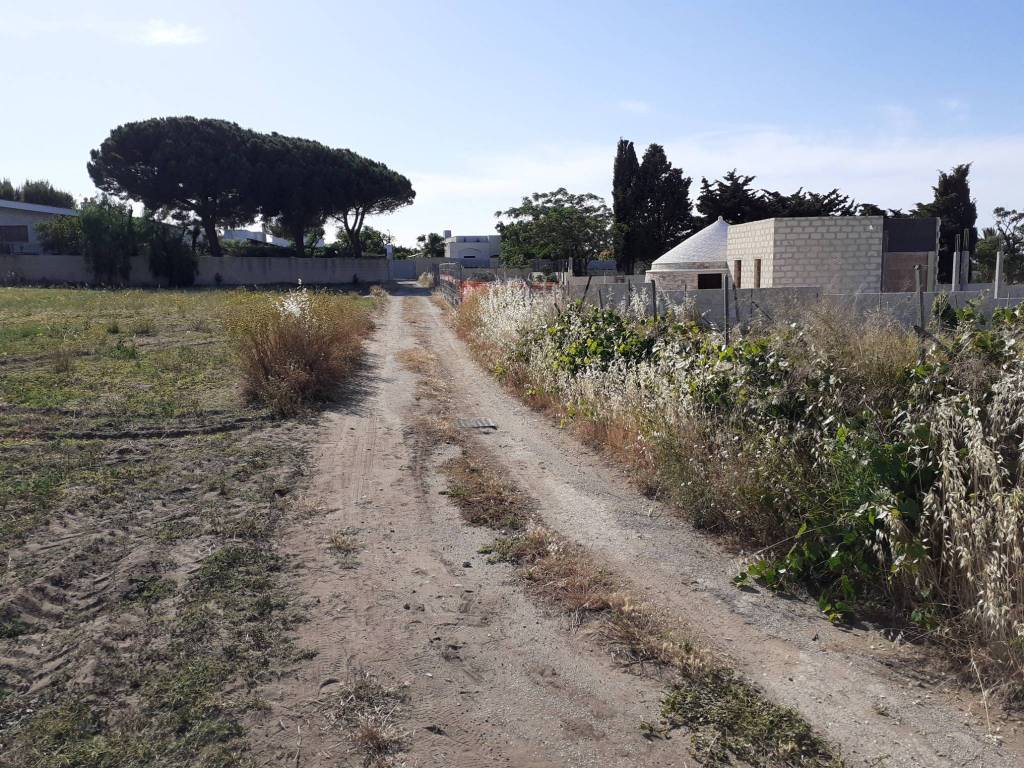Terreno a Trani in Strada Statale Adriatica - Foto 3