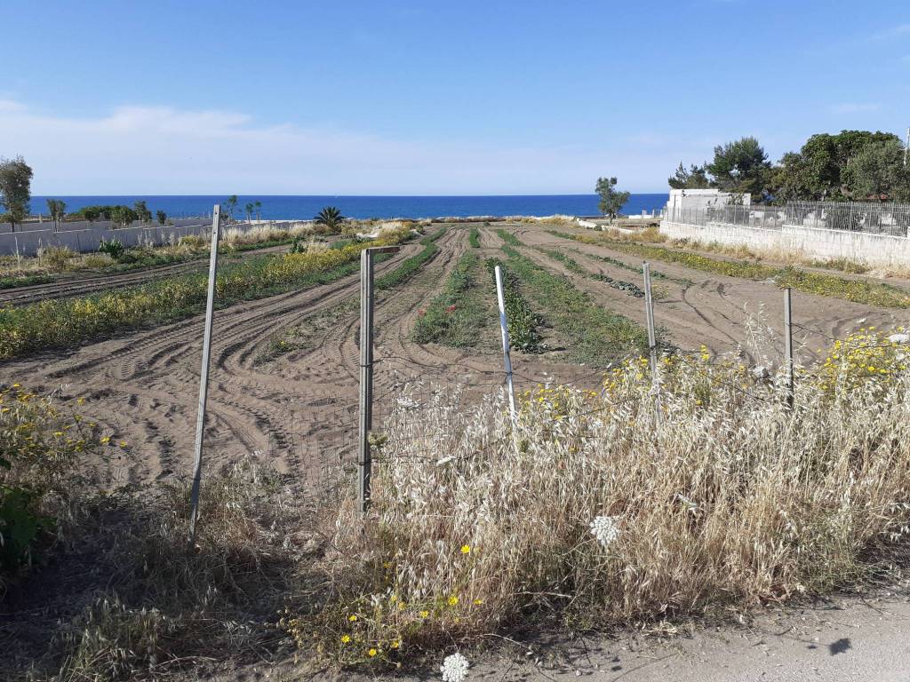 Terreno a Trani in Strada Statale Adriatica - Foto 4