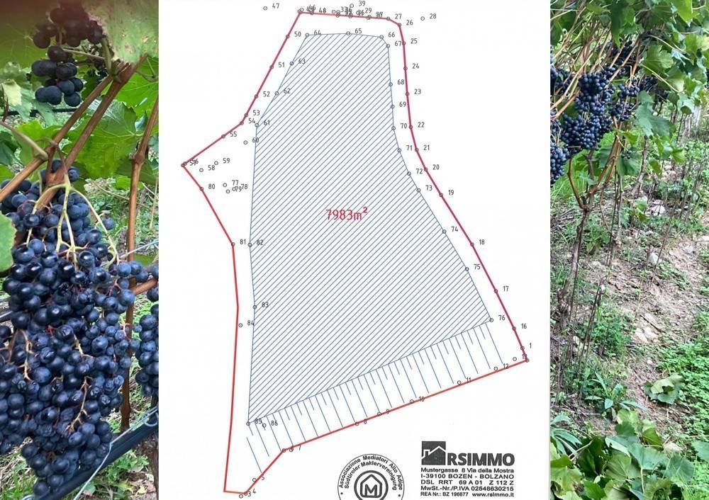 Terreno a Nova ponente - Foto 2