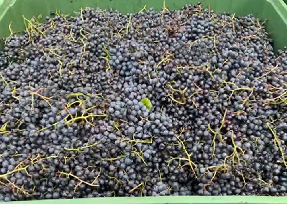 Terreno a Nova ponente - Foto 5