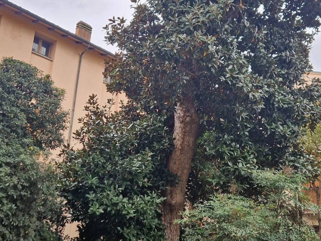 Palazzo / stabile a Lugo in Corso Giuseppe Garibaldi, 31 - Foto 3