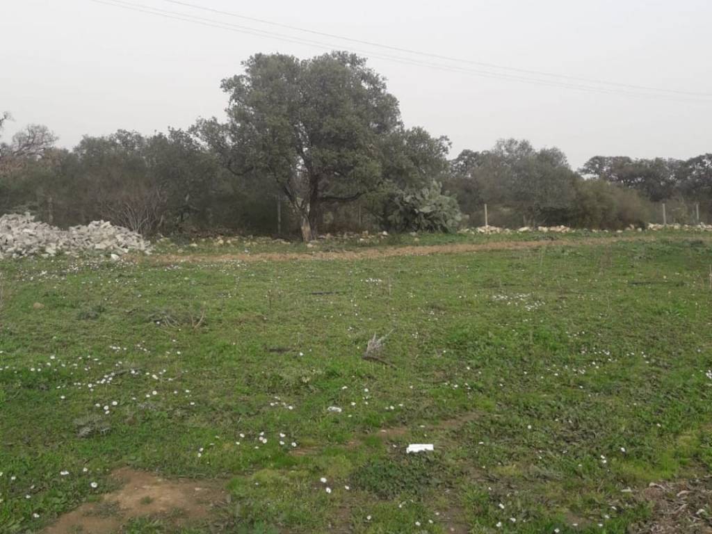 Terreno a Pula in Pula - Foto 2