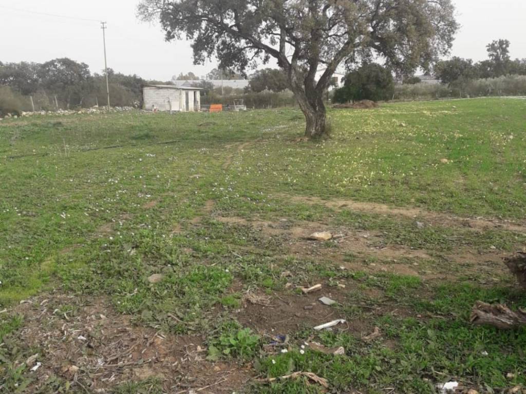 Terreno a Pula in Pula - Foto 3