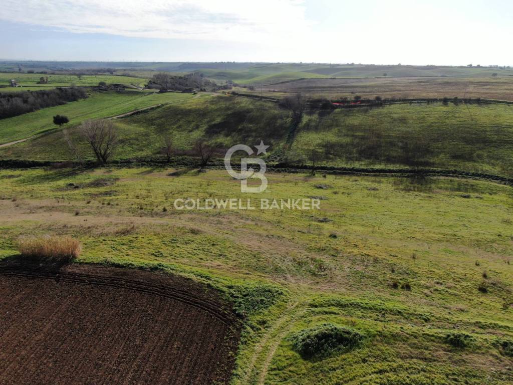 Terreno a Montalto di castro in Vulci - Foto 2