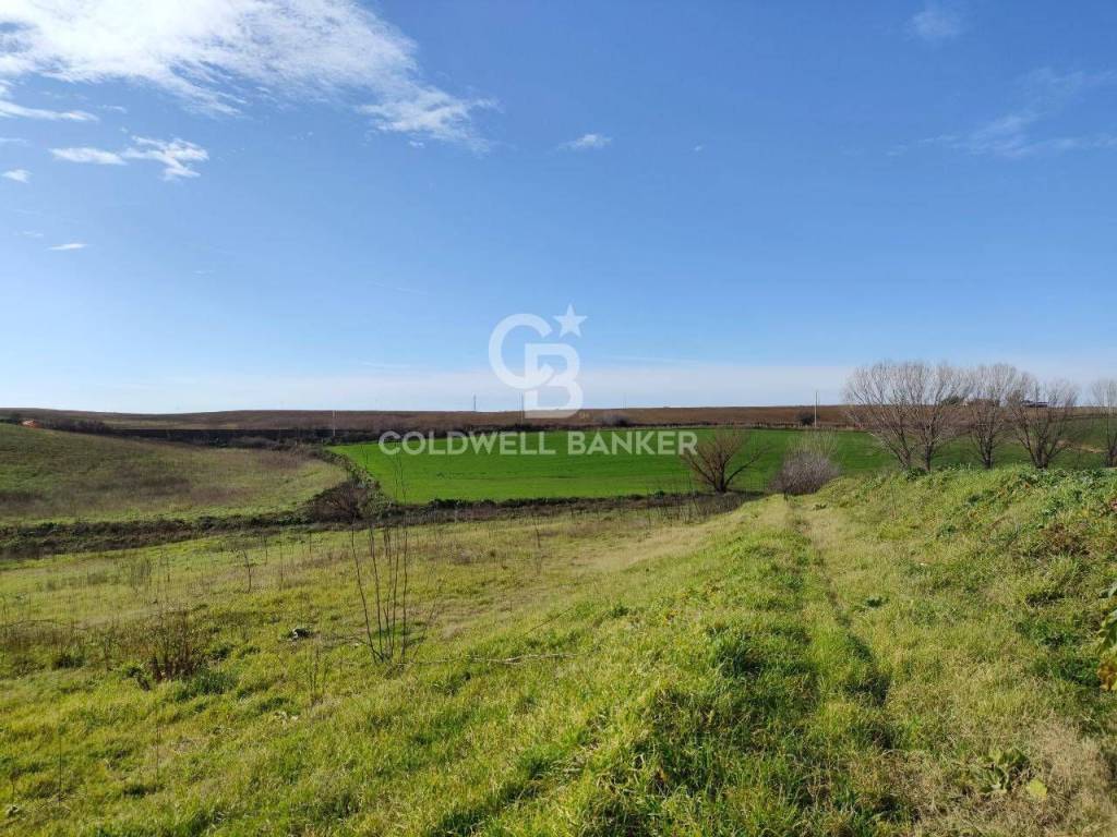 Terreno a Montalto di castro in Vulci - Foto 3