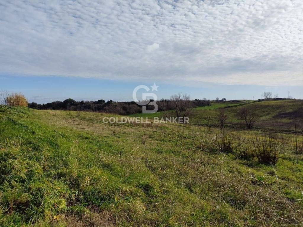 Terreno a Montalto di castro in Vulci - Foto 5