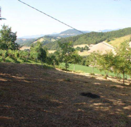 Rustico / casale a Pergola - Foto 2