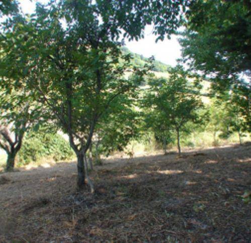 Rustico / casale a Pergola - Foto 3