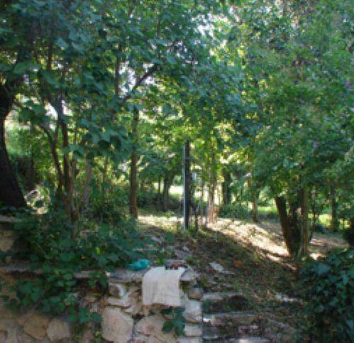 Rustico / casale a Pergola - Foto 5