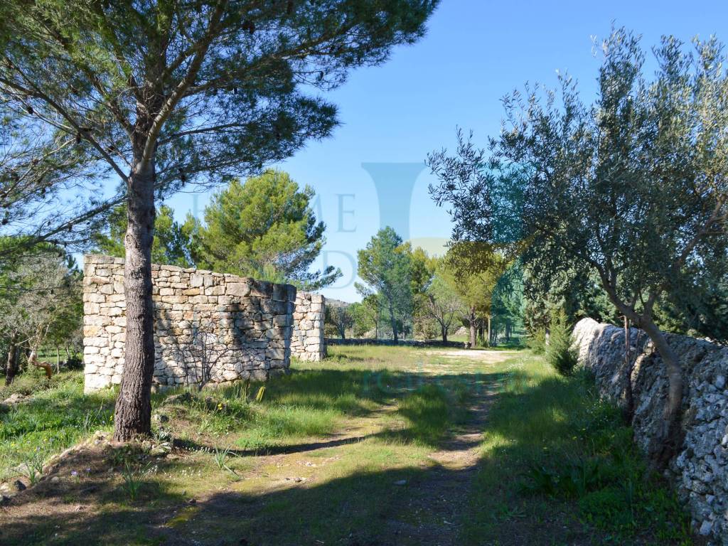Rustico / casale a Noto in Via Tommaso Fazello, 228 - Foto 2