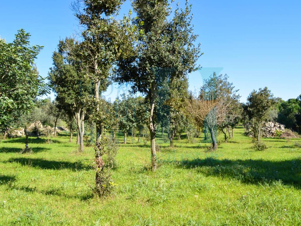 Rustico / casale a Noto in Via Tommaso Fazello, 228 - Foto 5