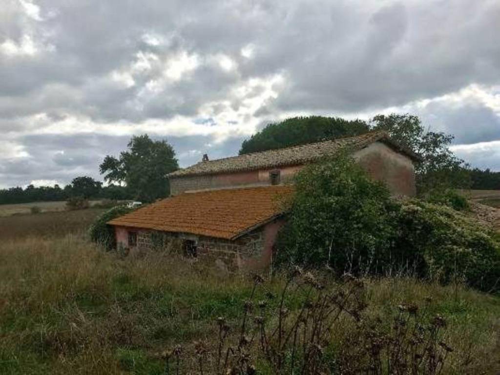 Rustico / casale a Montefiascone in Località Le Guardie - Foto 3