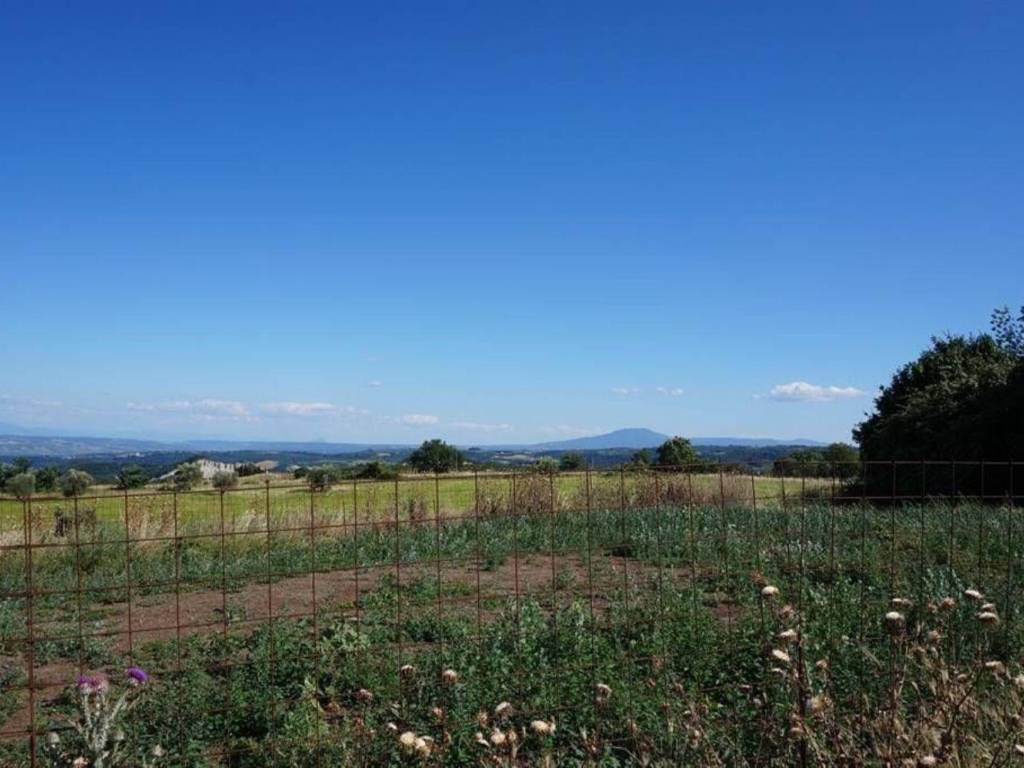 Rustico / casale a Lubriano in Località Santo Stefano - Foto 2