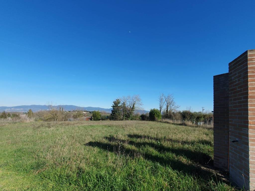 Terreno a Civitella d'agliano in Via Campo dei Fiori - Foto 3