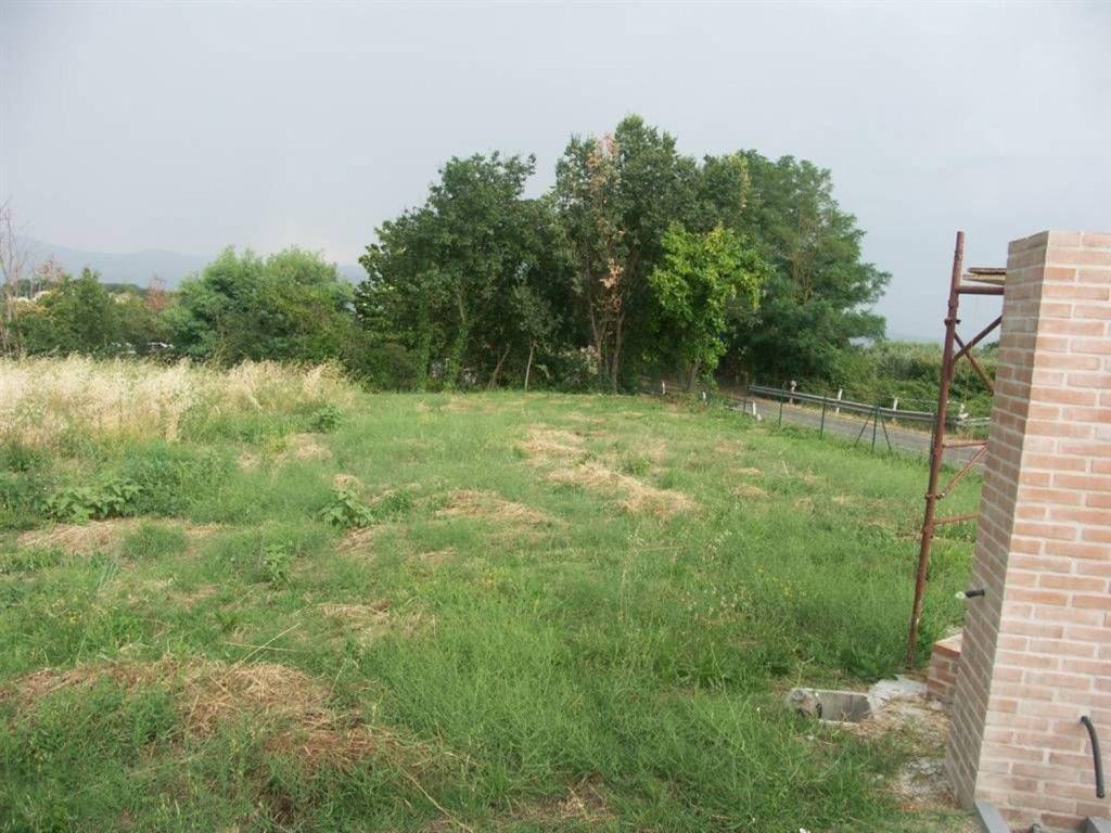 Terreno a Civitella d'agliano in Via Campo dei Fiori - Foto 4