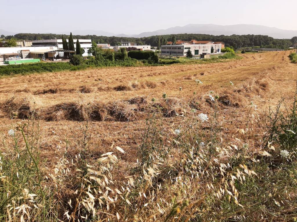 Terreno a Paliano in paliano - Foto 3