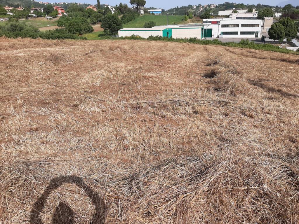 Terreno a Paliano in paliano - Foto 4