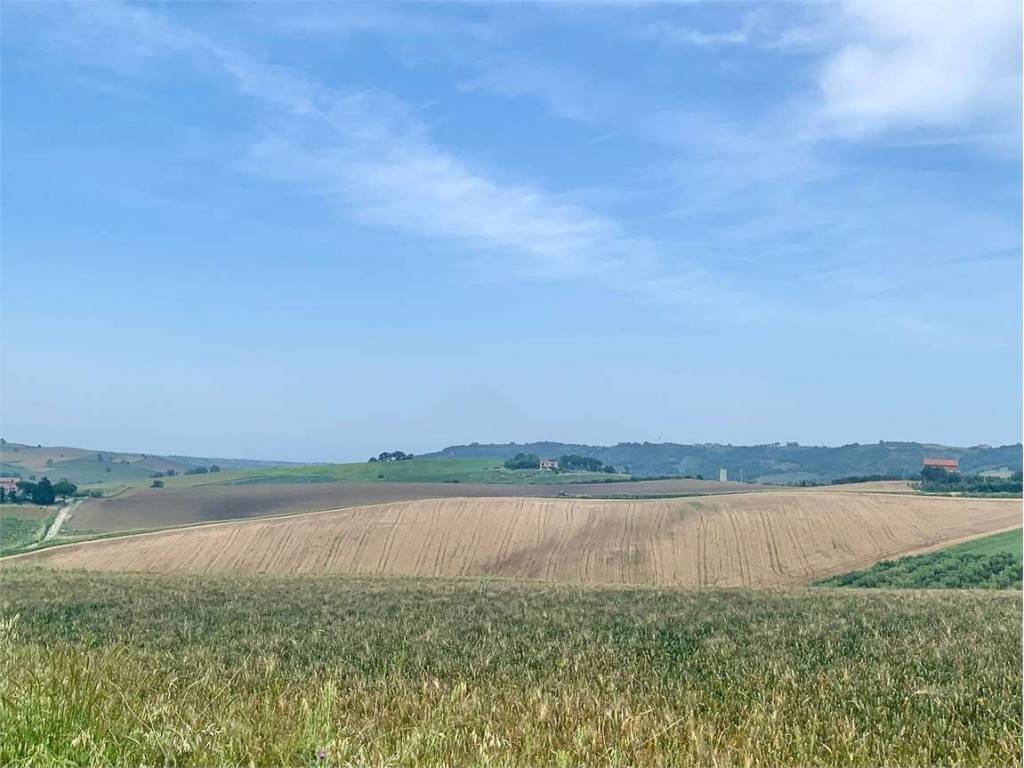 Terreno a Guglionesi - Foto 3