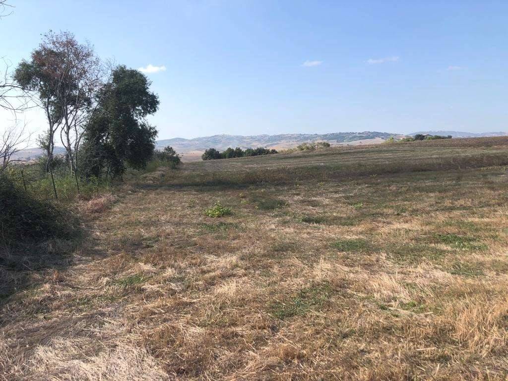 Terreno a Guglionesi - Foto 4