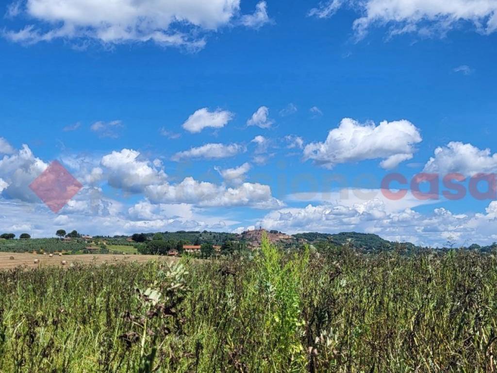 Terreno a Bibbona in Via della Camminata, snc - Foto 4
