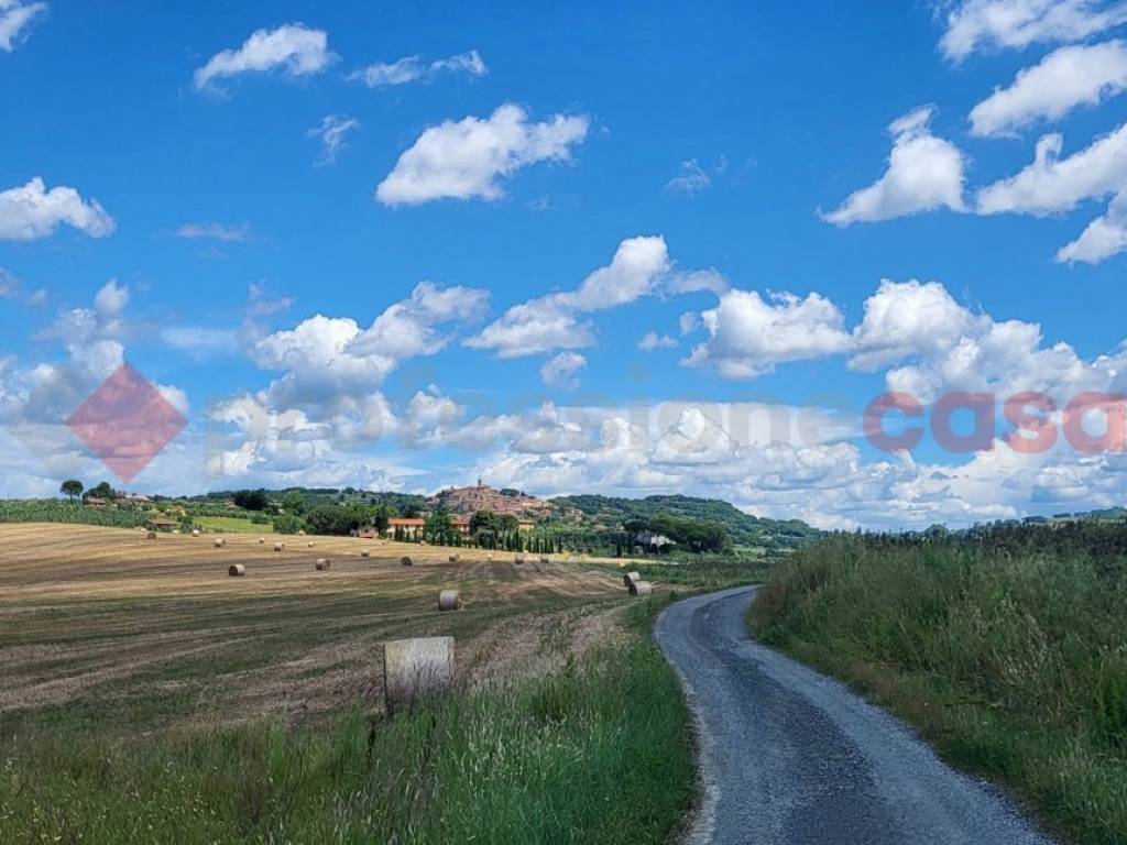 Terreno a Bibbona in Via della Camminata, snc - Foto 5