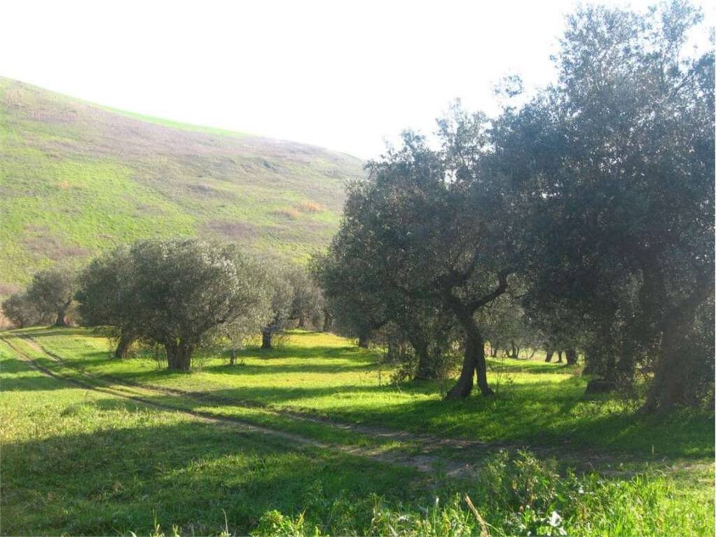 Terreno a Guglionesi in Colle di Ruta, 0 - Foto 3