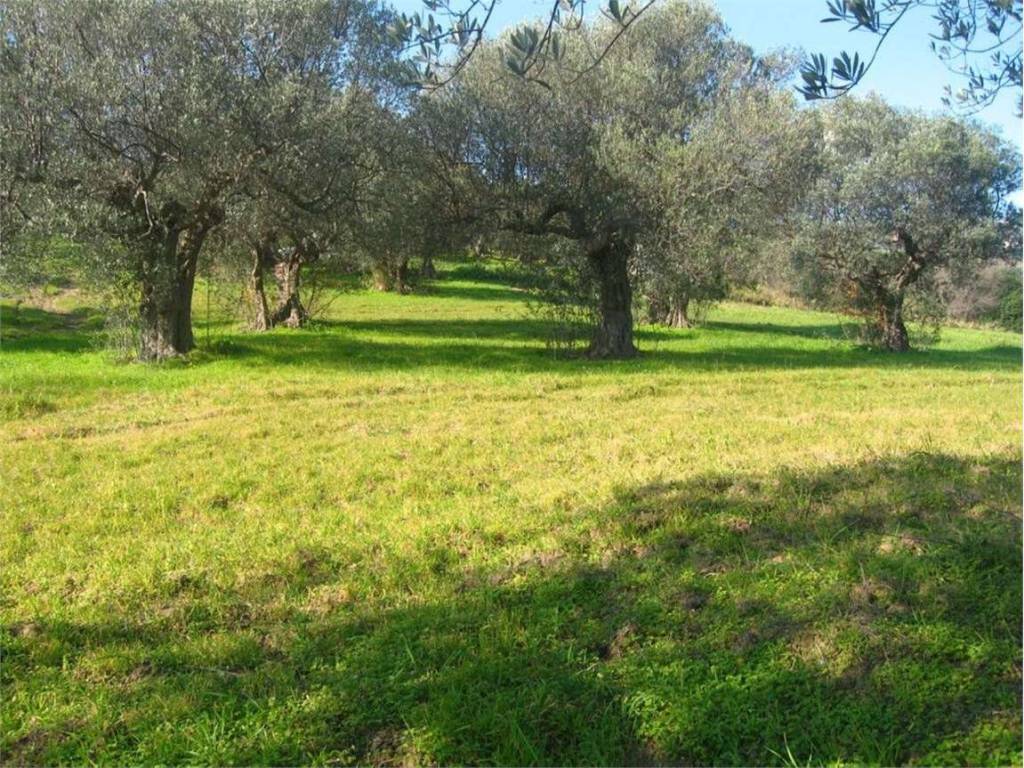 Terreno a Guglionesi in Colle di Ruta, 0 - Foto 4