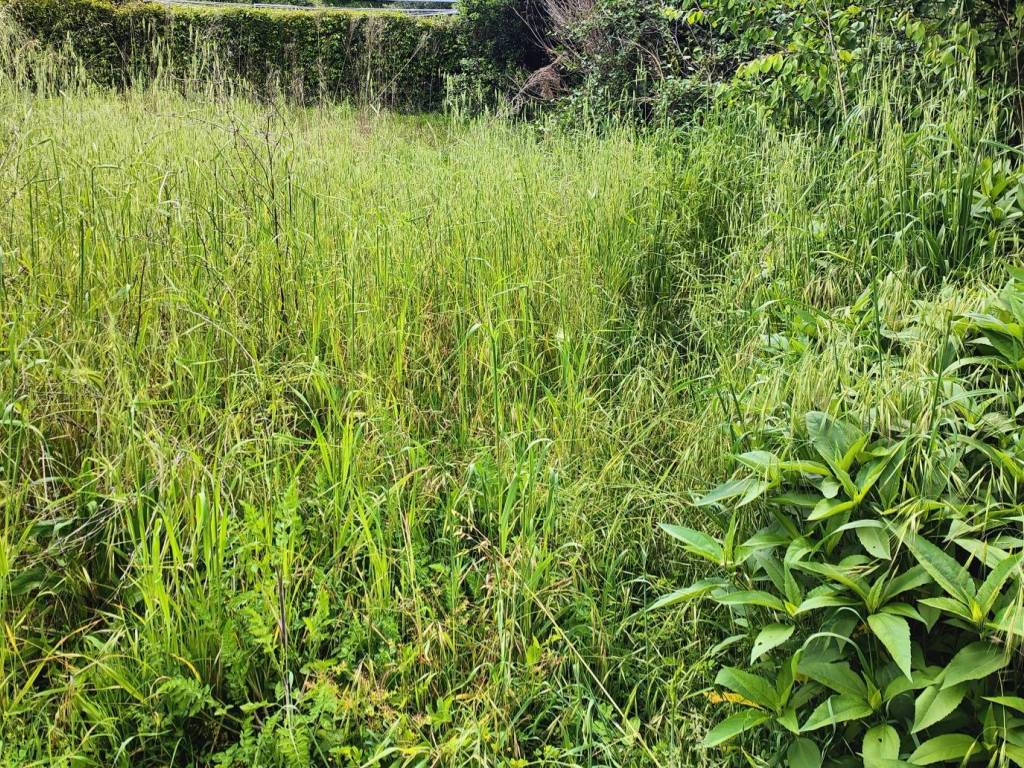Appartamento a Montevarchi in Via Aretina - Foto 4