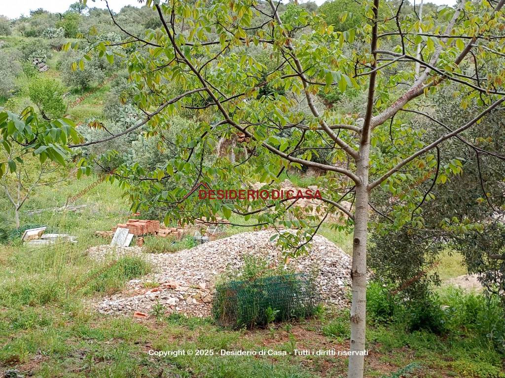 Villa a Belmonte mezzagno in Via Francesca Morvillo, 63 - Foto 5