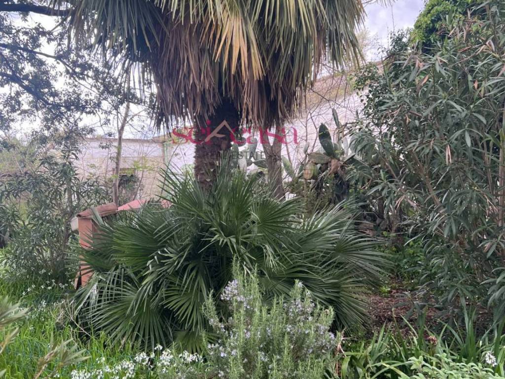 Rustico / casale a Roccastrada in Roccastrada - Foto 3