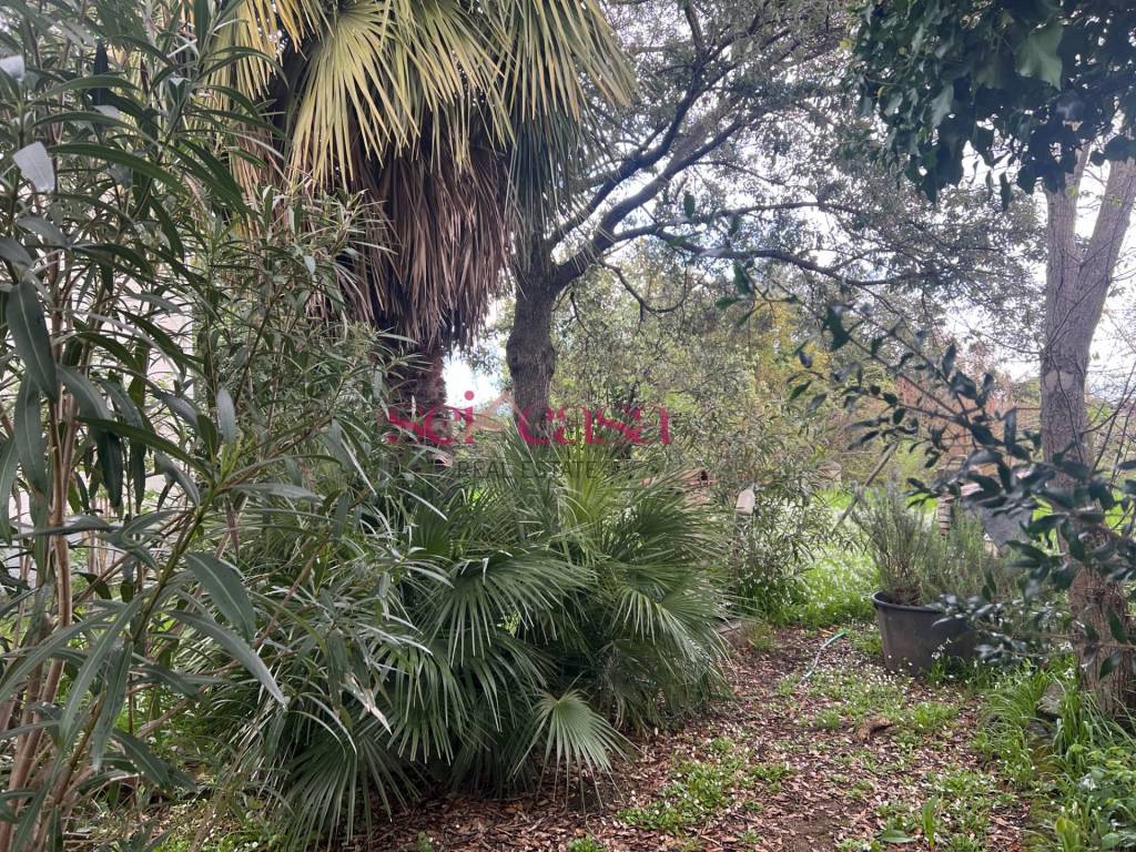 Rustico / casale a Roccastrada in Roccastrada - Foto 4