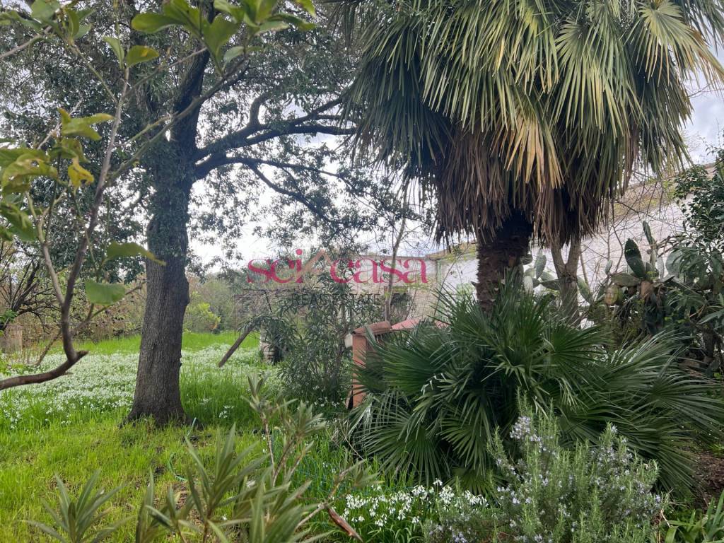 Rustico / casale a Roccastrada in Roccastrada - Foto 5