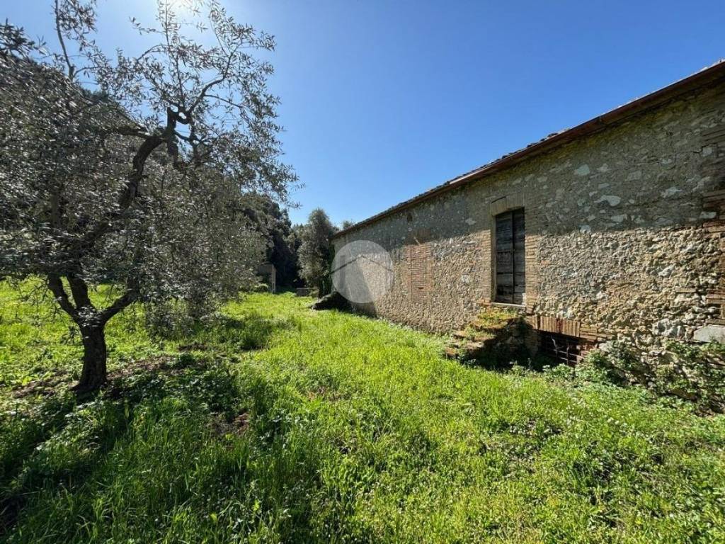 Rustico / casale a Montebuono in Via S Andrea - Foto 3