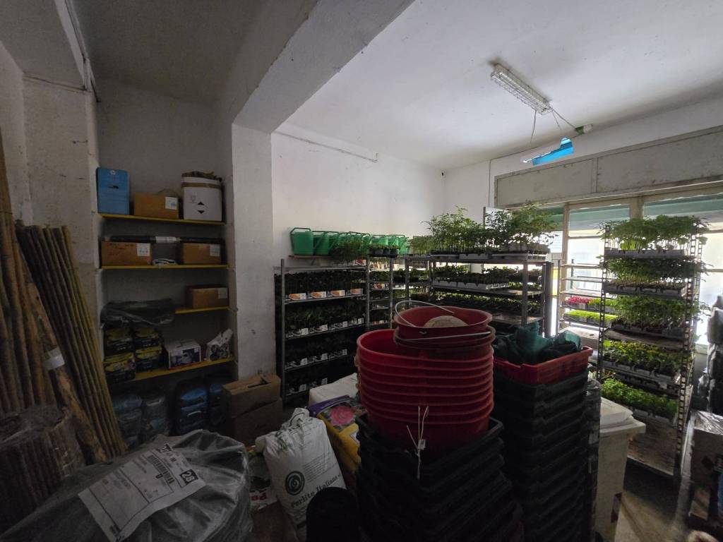 Box / garage a Taggia in Via Lungo Argentina Gen. D. Fornara - Foto 4