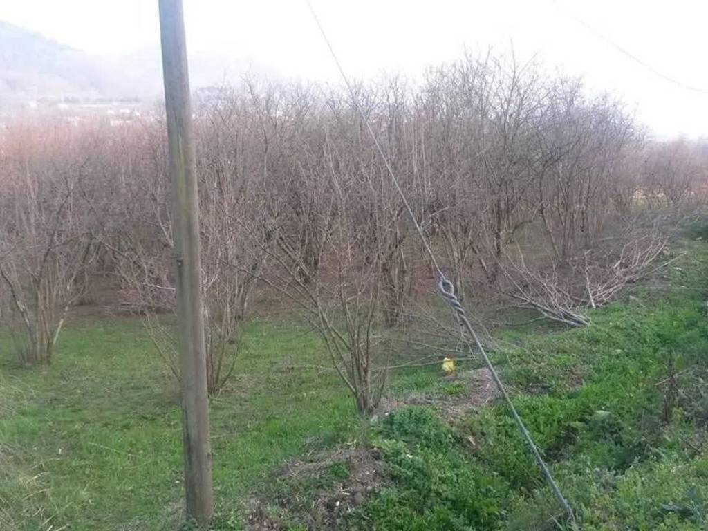 Terreno a Atripalda - Foto 4