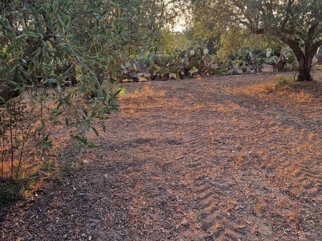 Terreno a Pachino in Carrata S.N.C. - Foto 4
