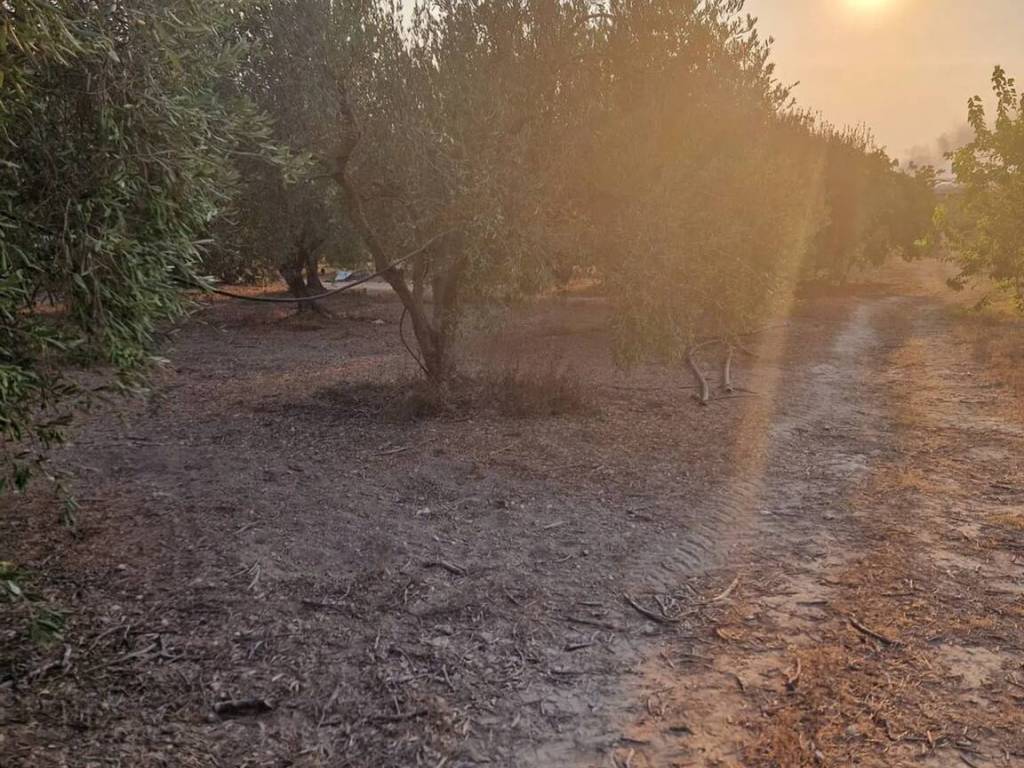 Terreno a Pachino in Carrata S.N.C. - Foto 5