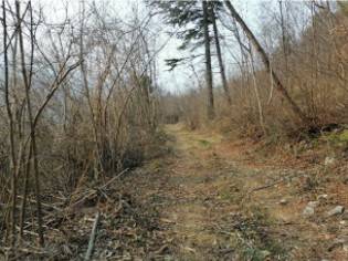 Palazzo / stabile a Trento in Località Campagnola - Foto 2